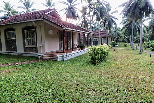 SriLan (901)